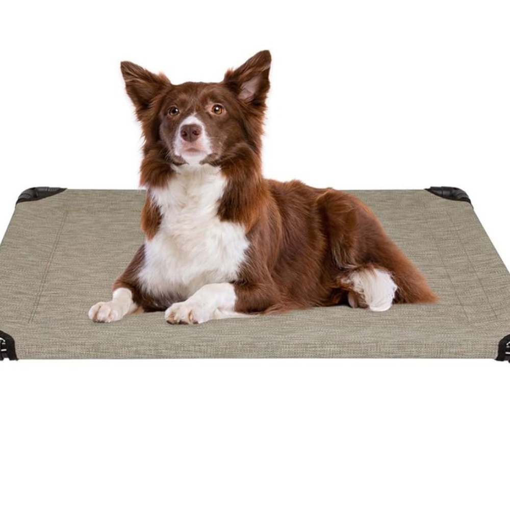 Elevated Dog Bed - Brown